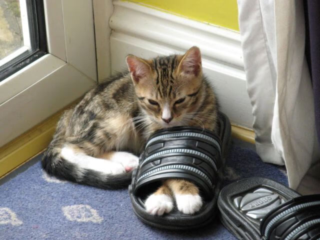 当钢铁战车遭遇黄色潜水艇，卡塞米罗在平行时空的生涯之夜